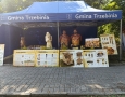 img-20240908-wa0008