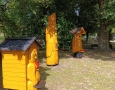 img-20240908-wa0015