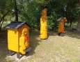 img-20240908-wa0016